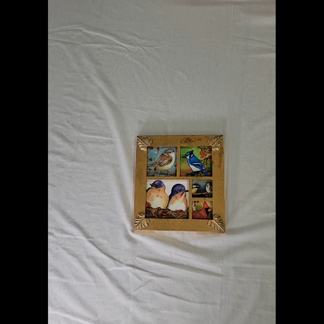 Vintage Collage Decorative Frame with Bird Illustrations