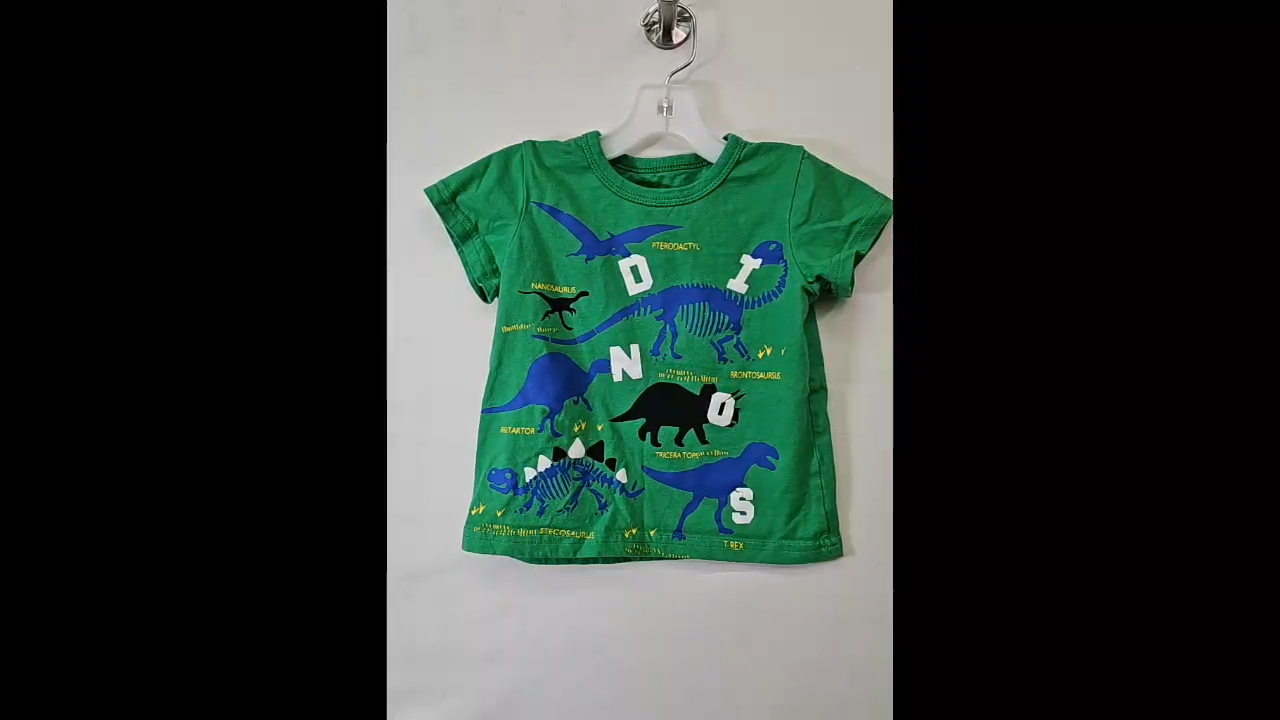 Green Dino Tee Size 2T