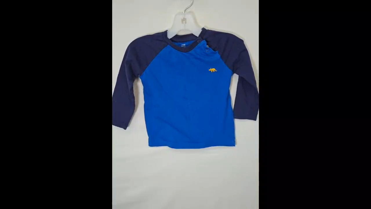 Dinosaur Long Sleeve 100% Cotton Size 9-12 MO