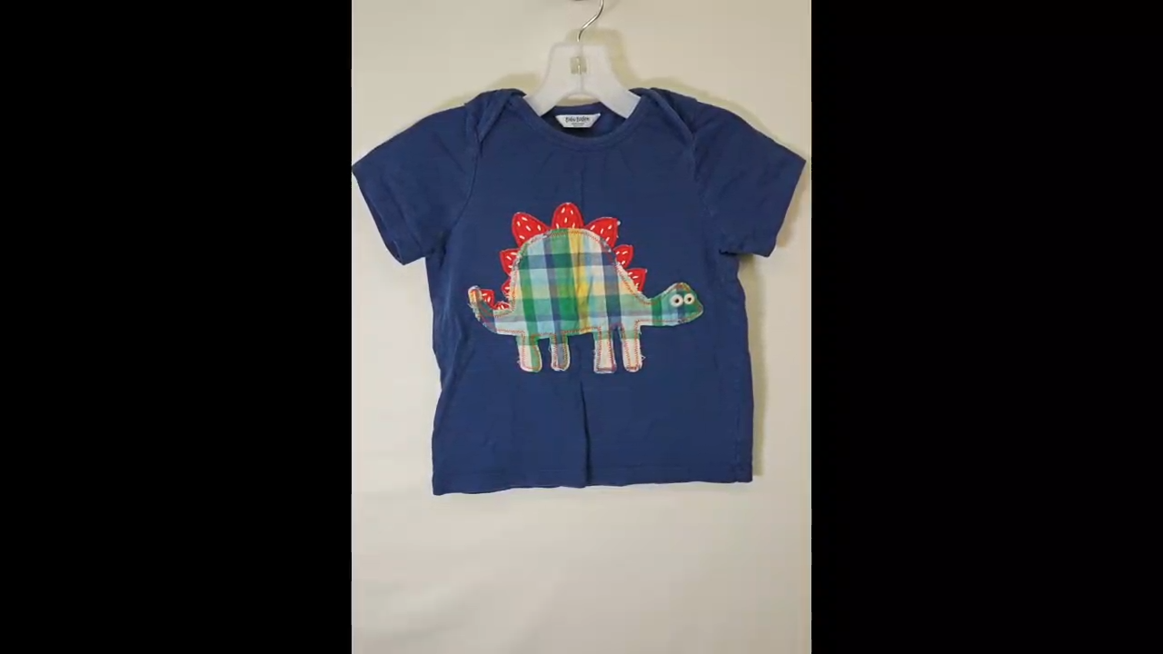 Baby Boden Stegosaurus Tee Size 18-24 MO