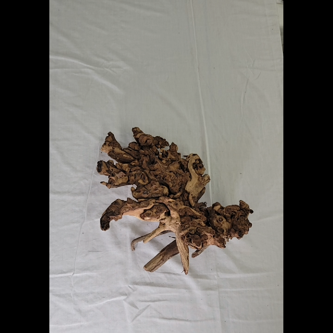 Unique Driftwood Ornament Large Piece