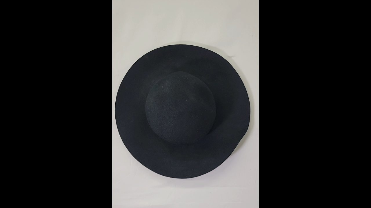 American Eagle Felt Hat