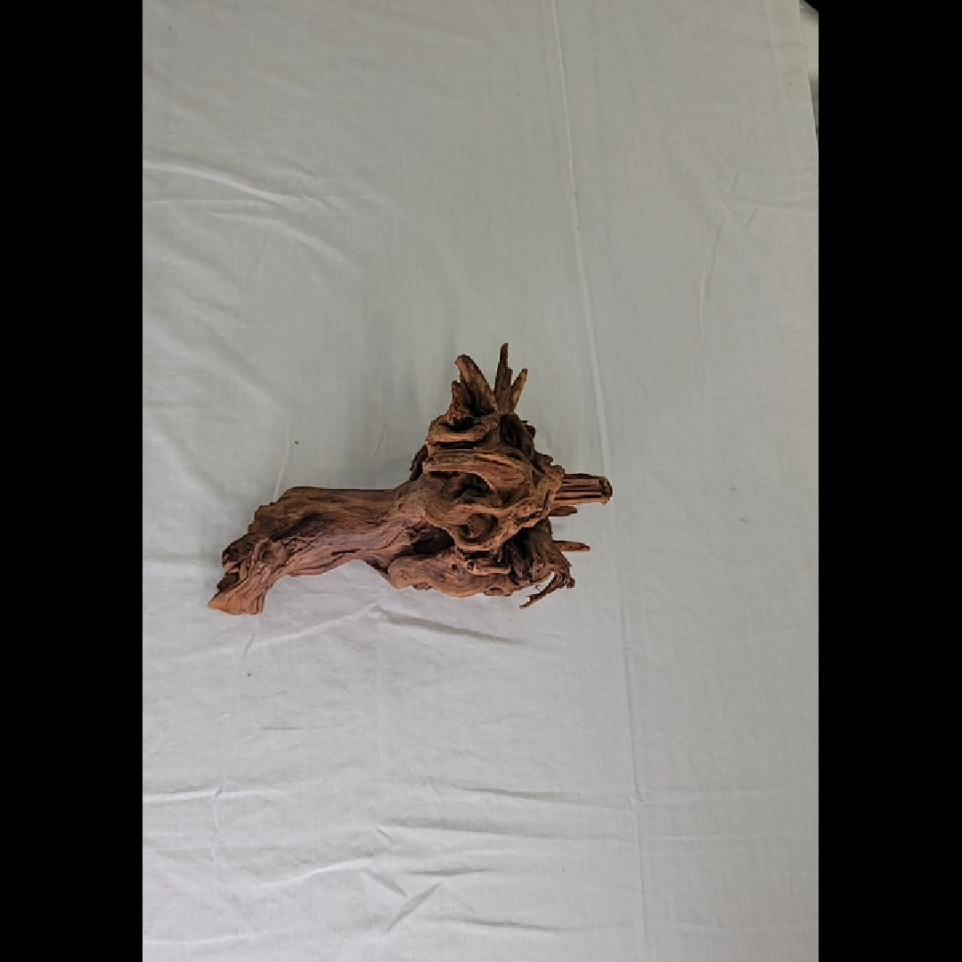 Unique Driftwood Medium Piece