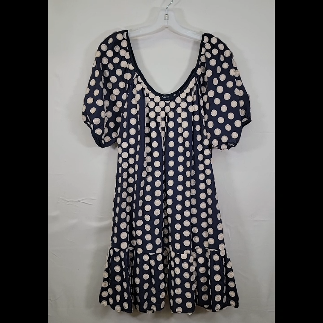 Madewell Dot Dress