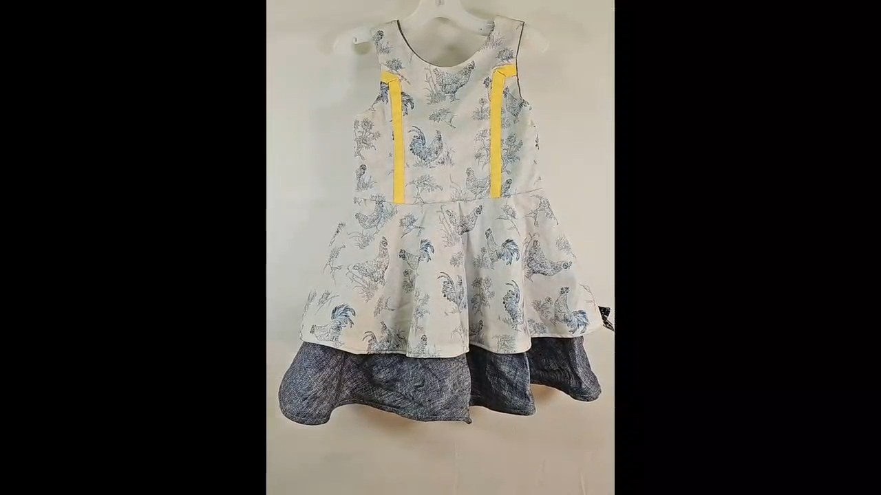 Anxious Cat Chicken Dress Size 3T
