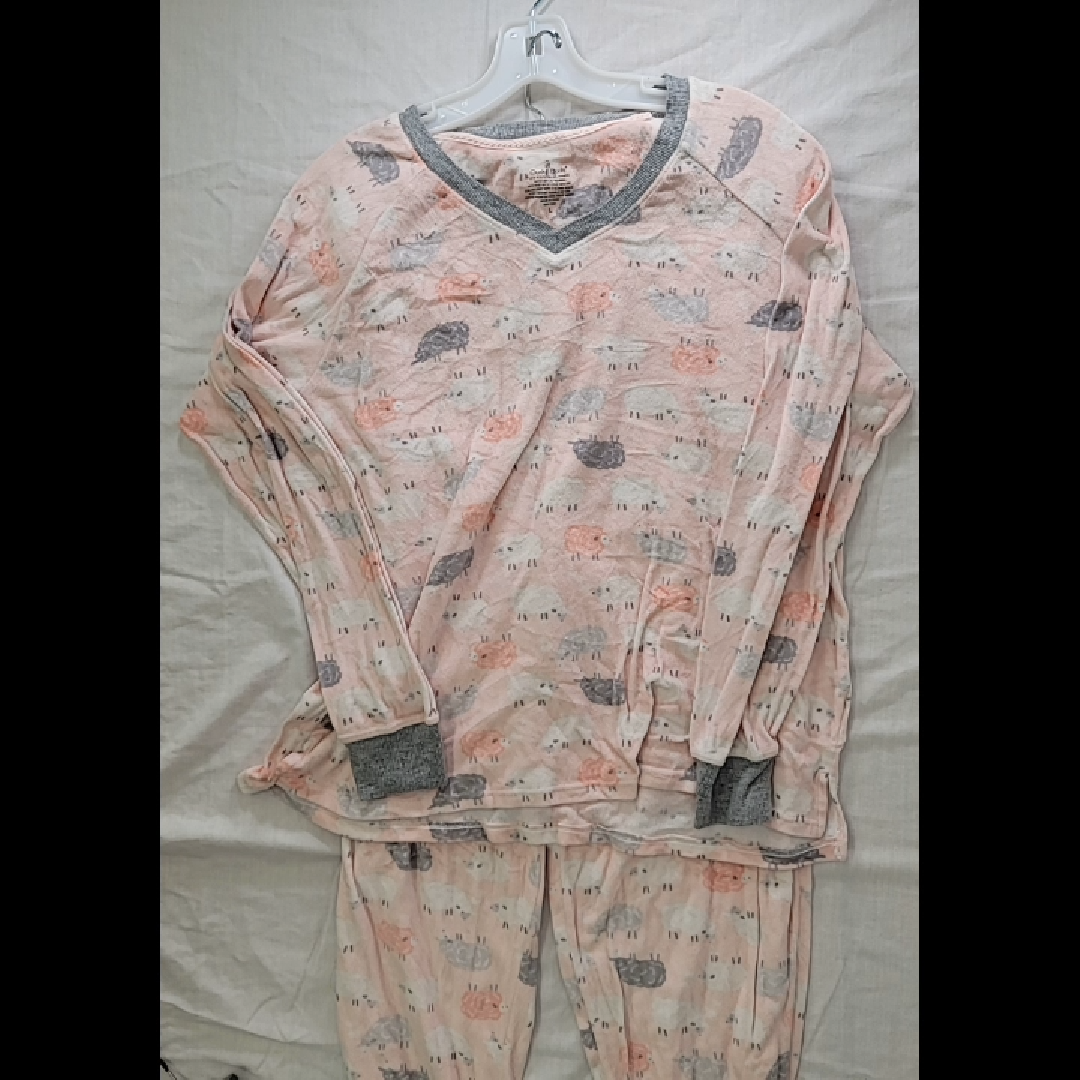 Cuddl Duds Women's Large Pink Pajama Set
