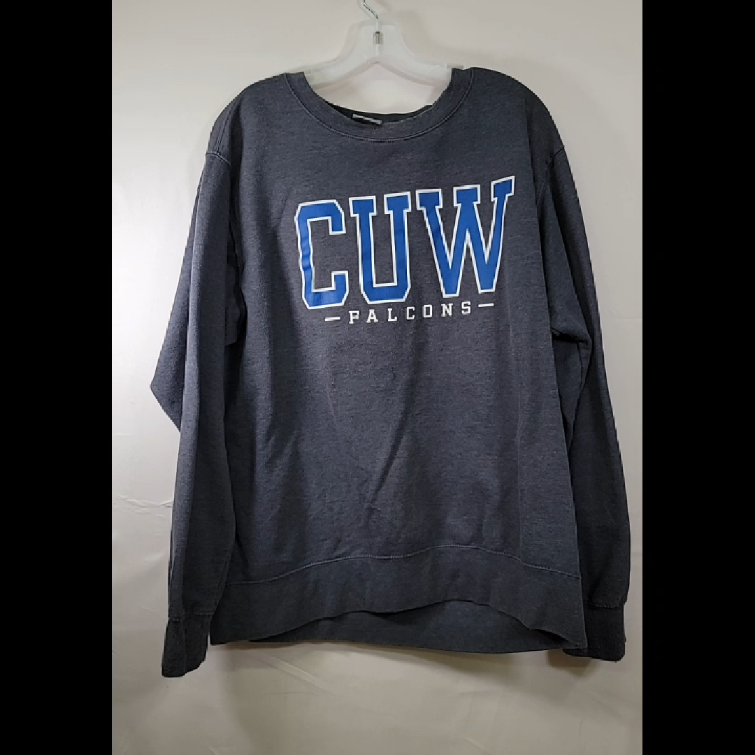 CUW Falcons Sweatshirt Size L