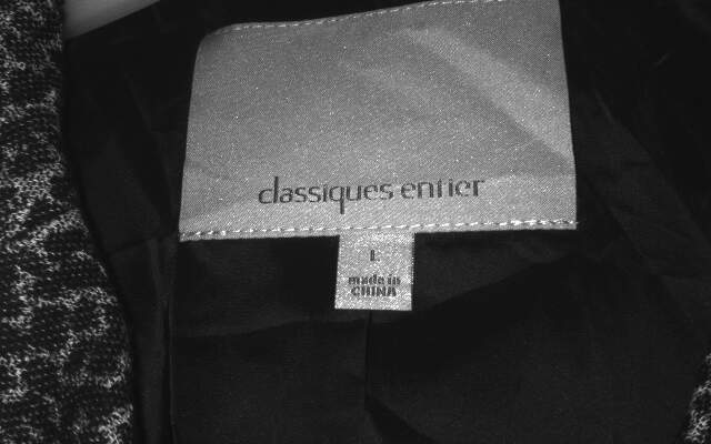 Classiques Entier Women's Blazer in Black and Gray Leopard Print