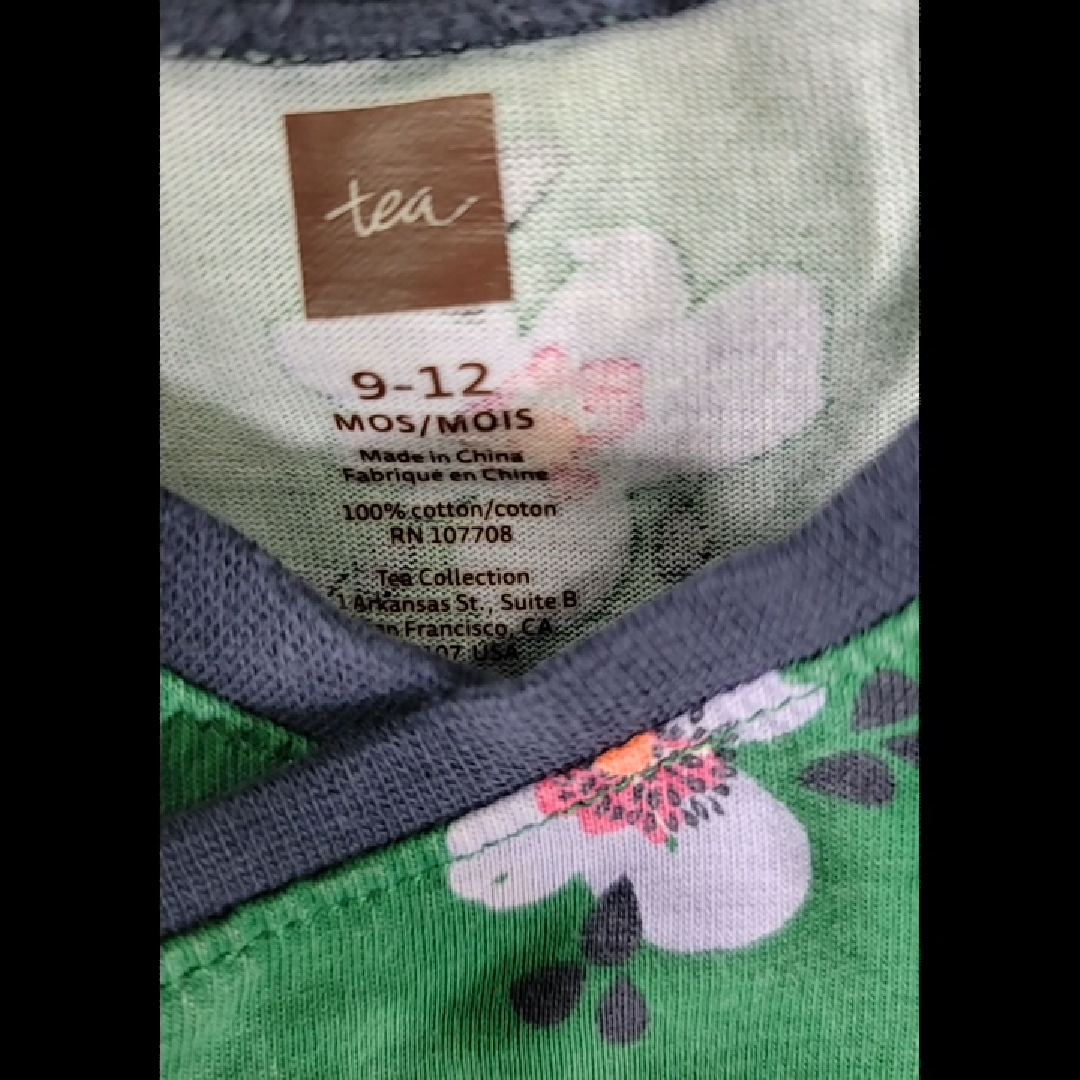 Tea Floral Print Dress Size 9-12 MO