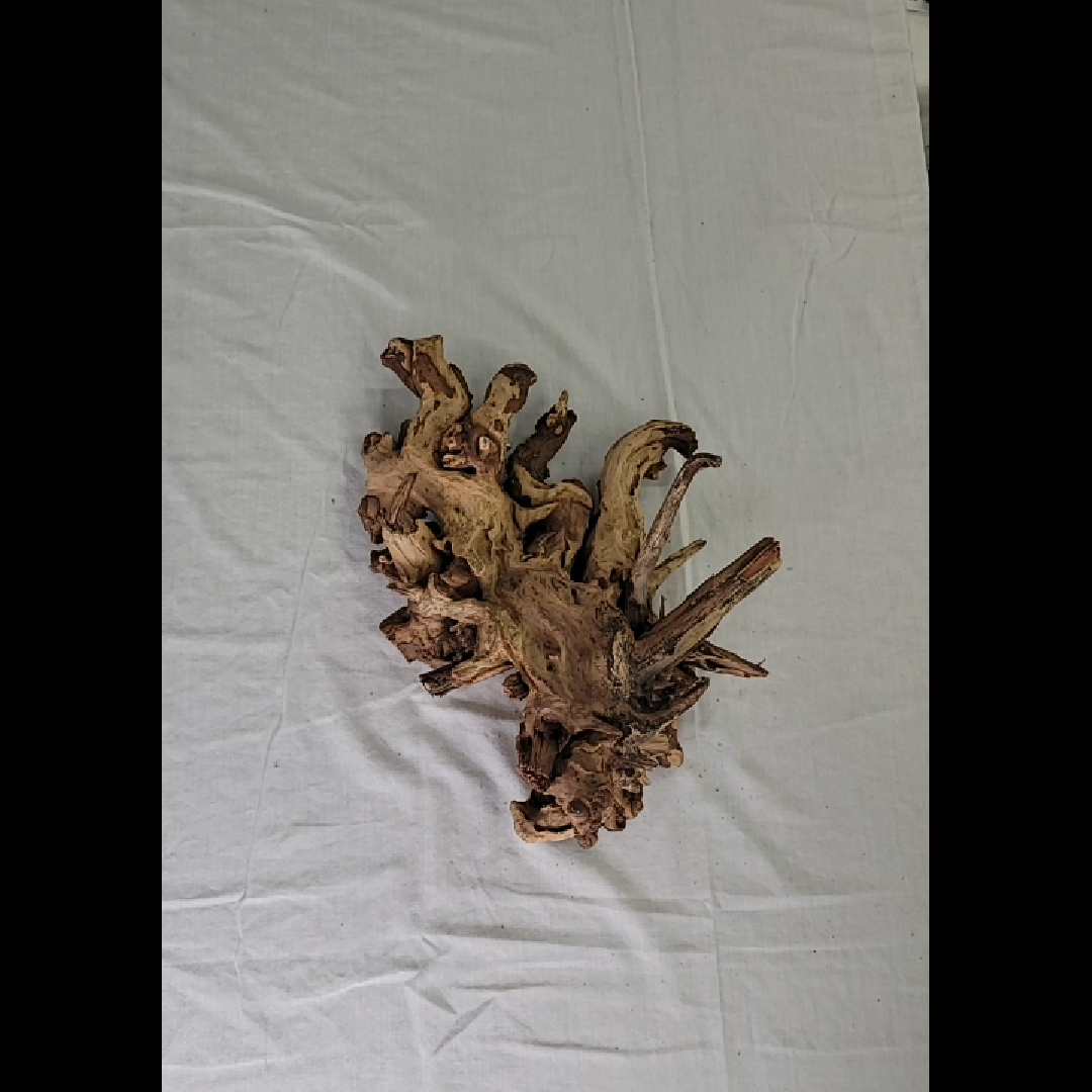 Unique Driftwood Ornament Large Piece