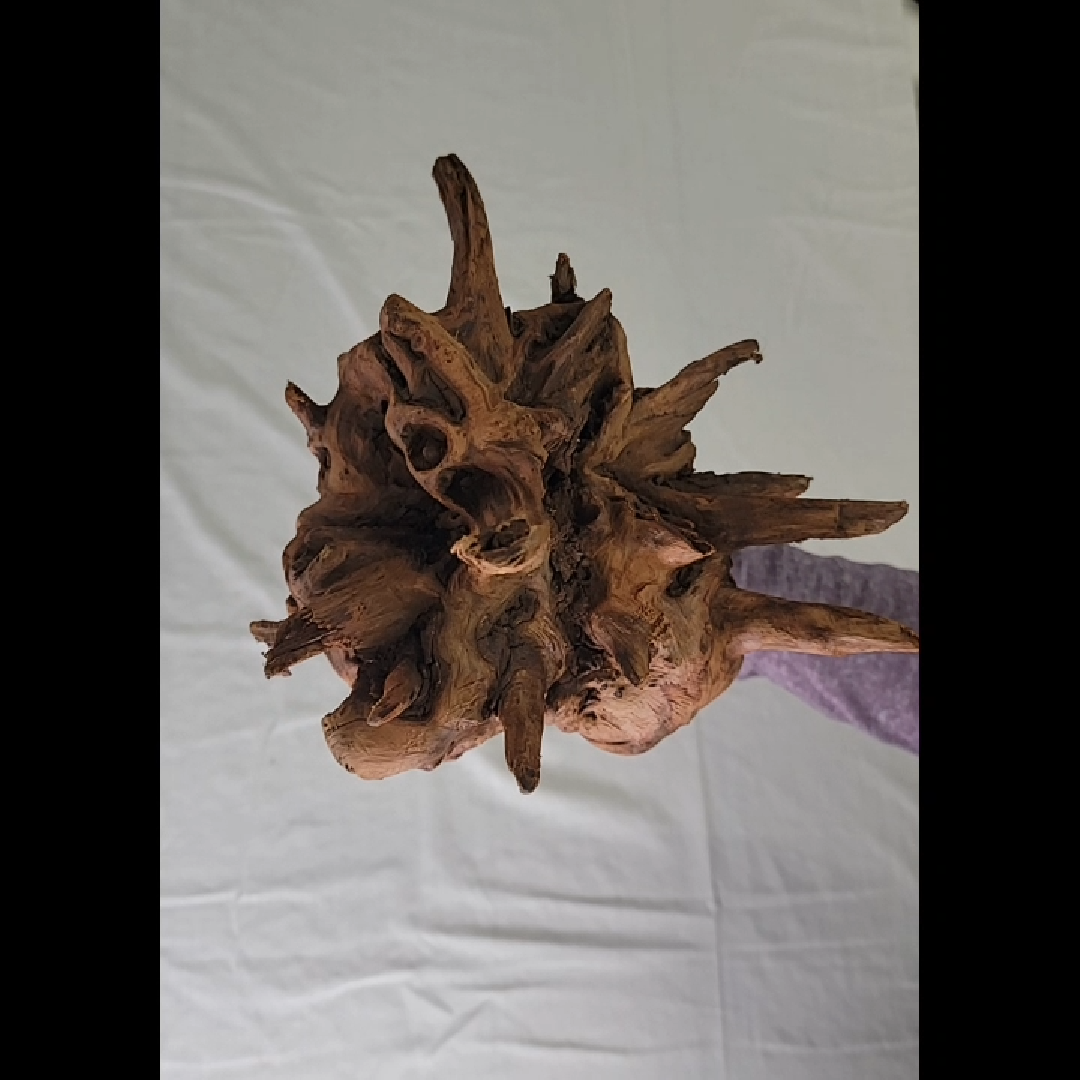 Unique Driftwood Medium Piece