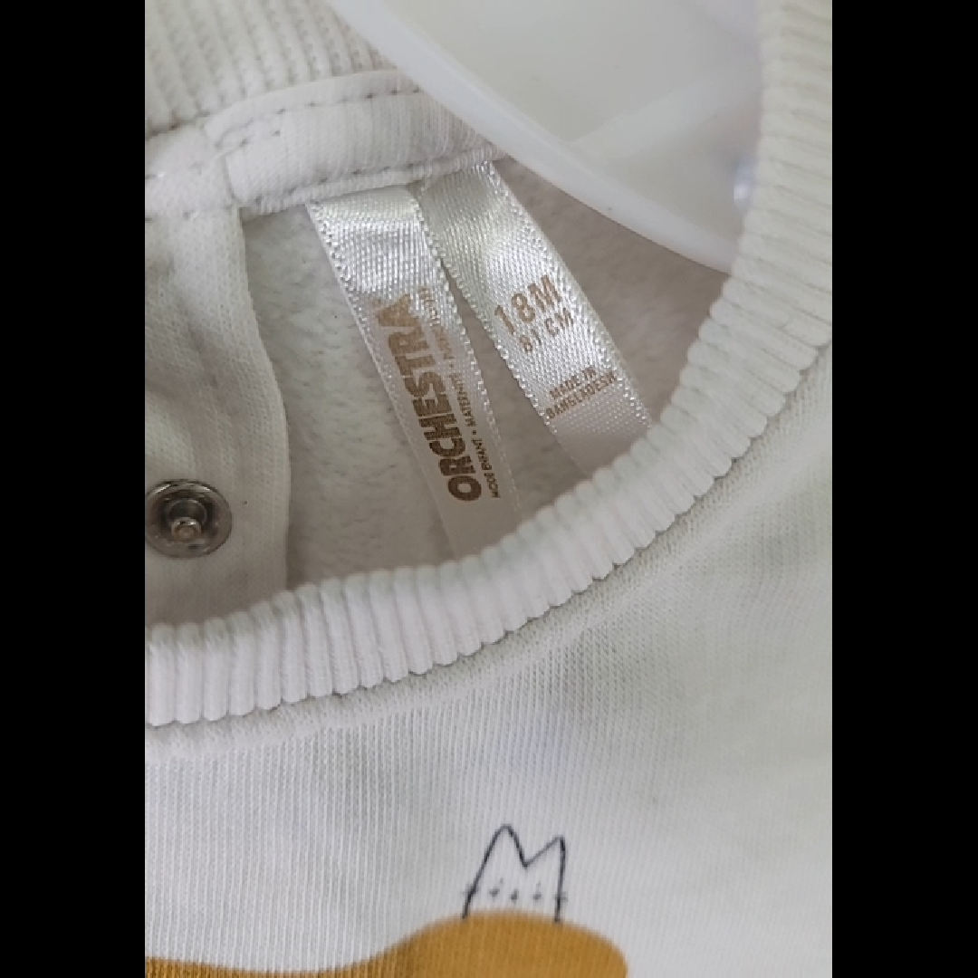 Orchestra Cat Sweater Size 18M