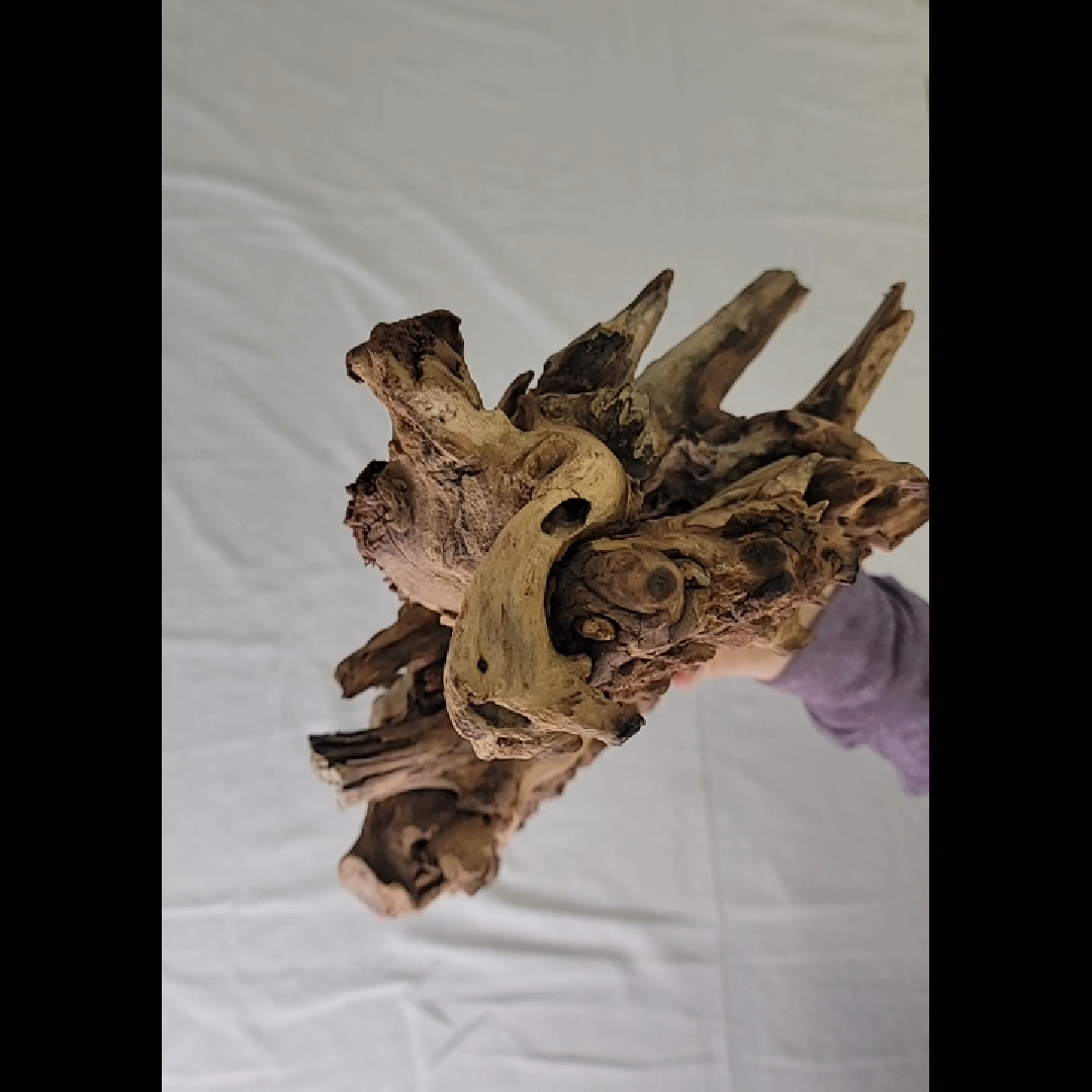 Unique Driftwood Ornament Large Piece