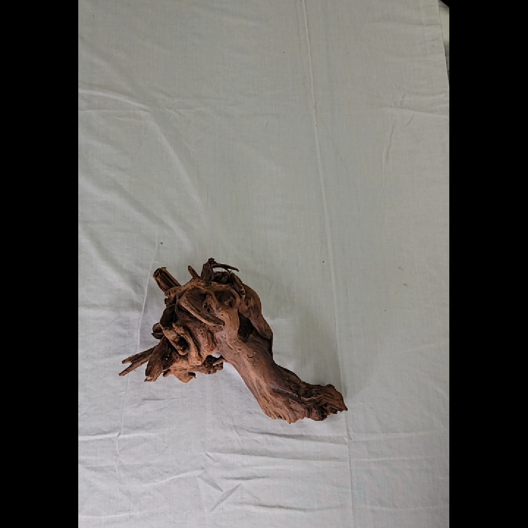 Unique Driftwood Medium Piece