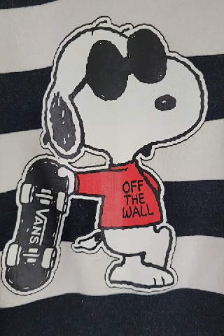 Vans Peanuts Striped Crewneck Sweatshirt Size M