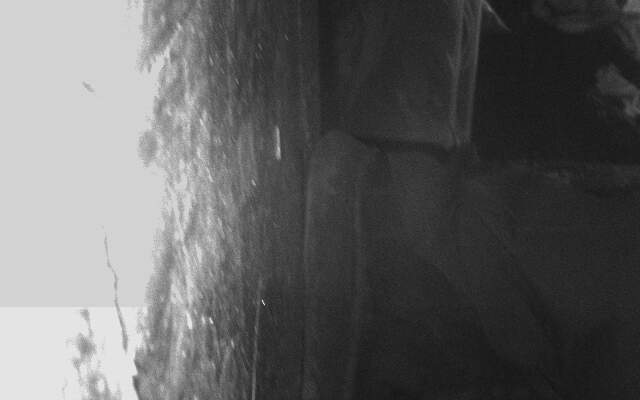 Gray Wall Texture