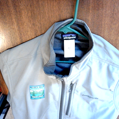 Patagonia Gray Vest