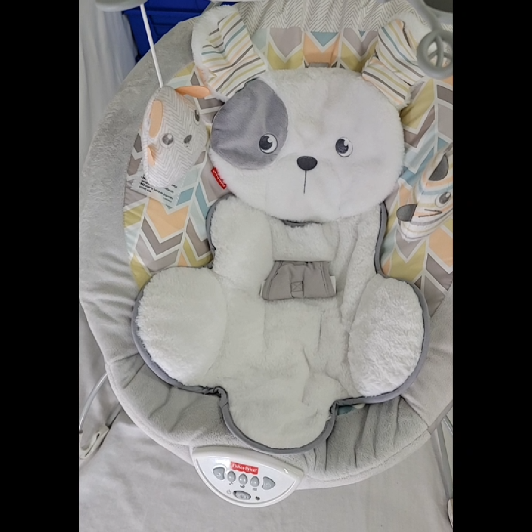 Fisher-Price Baby Swing - Cute Puppy Design