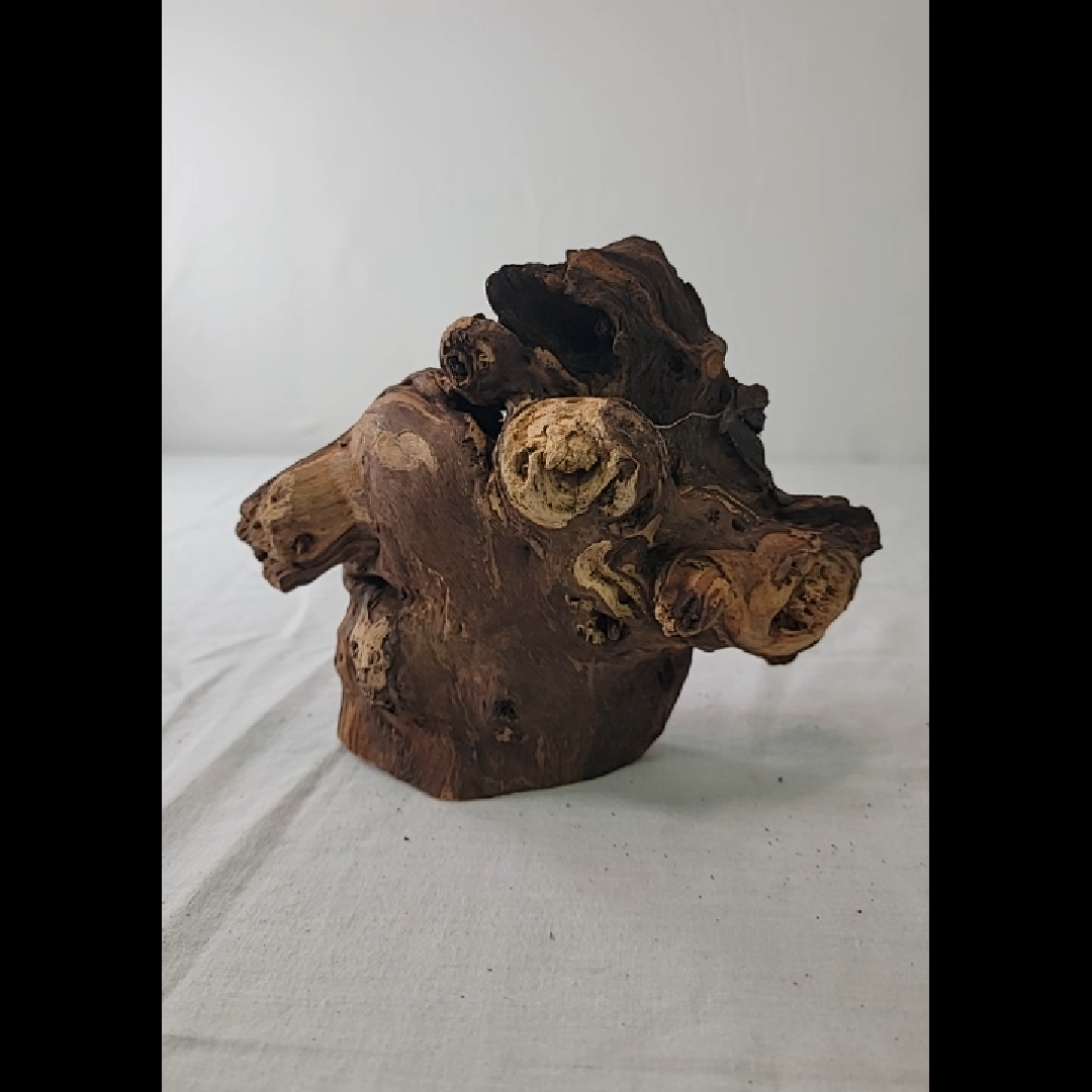 Unique Driftwood Sculpture Extra Small Piece