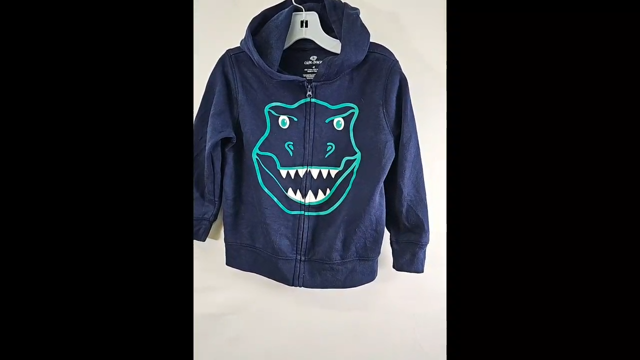 Dino Hoodie