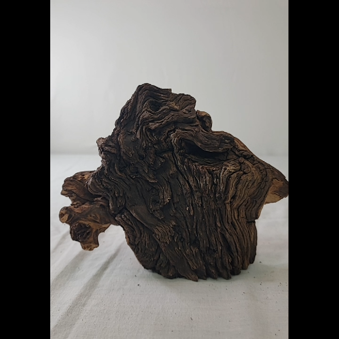 Unique Driftwood Sculpture Extra Small Piece