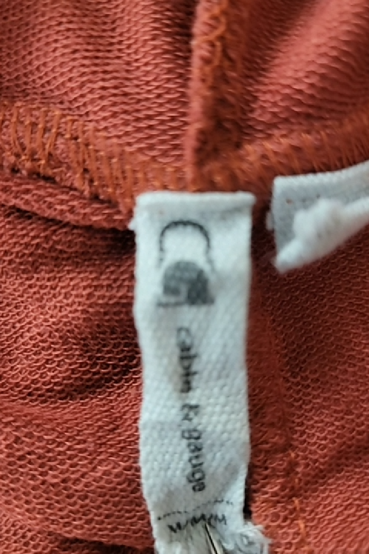 Cable & Gauge Women's Rust Orange Hooded V-Neck Top Size M