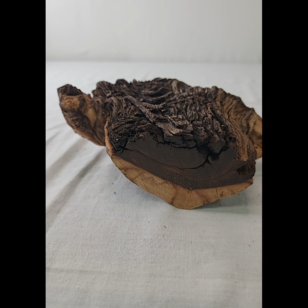 Unique Driftwood Sculpture Extra Small Piece